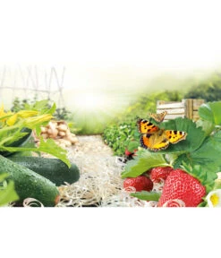 Ziegler Pro Natur® Erdbeer- & Gemüsewolle, 48 X 850 Gramm 7 Ziegler Pro Natur® Erdbeer- & Gemüsewolle, 48 X 850 Gramm -Gartenbedarf Angebote 1614080 WE MO 001 ErdbeerundGemueseholzwolle850g