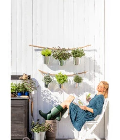 Dehner Gourmet Garten Zitronenmelisse -Gartenbedarf Angebote 20181011 PR MO 003 Kraeuter 01