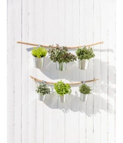 Bestseller -Gartenbedarf Angebote 20181011 PR MO 003 Kraeuter 04 1