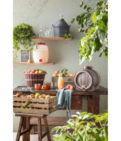 Glasballon Im Kunststoff-Schutzkorb 7 Glasballon Im Kunststoff-Schutzkorb -Gartenbedarf Angebote 207704 207712 207720 207738 207787 WE MO 001 GlasballonKunststoffSchutzkorb