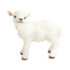 Polyresin Lamm Stehend, Weiß -Gartenbedarf Angebote 2451946 WE FS 001 PolyresinLammstehendwei39x22x36cm