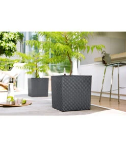 Dehner Kunststoff-Pflanztopf Dallas, Quadratisch, Ca. B35/H34/T35 Cm 11 Dehner Kunststoff-Pflanztopf Dallas, Quadratisch, Ca. B35/H34/T35 Cm -Gartenbedarf Angebote 2460038 2460046 2460053 WE MO 001 KunststoffTopf36x36x36cm