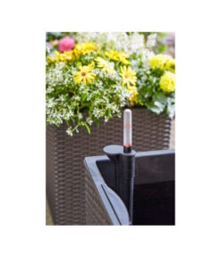 Dehner Kunststoff-Pflanztopf Dallas, Quadratisch, Ca. B35/H34/T35 Cm 12 Dehner Kunststoff-Pflanztopf Dallas, Quadratisch, Ca. B35/H34/T35 Cm -Gartenbedarf Angebote 2460046 2460053 2460038 WE DE 001 DehnerKunststoffTopfquadratisch36cmgranitbraunTopfBlumentopfPflanztopfPflanzgefaess