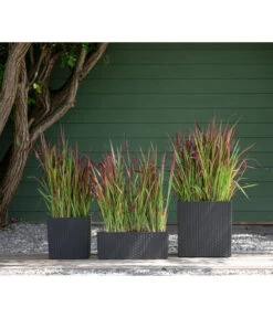 Dehner Kunststoff-Pflanztopf Dallas, Quadratisch, Ca. B35/H34/T35 Cm 13 Dehner Kunststoff-Pflanztopf Dallas, Quadratisch, Ca. B35/H34/T35 Cm -Gartenbedarf Angebote 2460046 WE MO 003 DehnerKunststoffPflanztopfDallasquadratisch