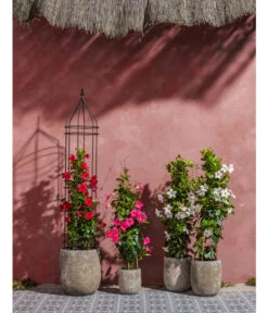 Dehner Premium Obelisk Odin 18 Dehner Premium Obelisk Odin -Gartenbedarf Angebote 2480069 2480093 2480119 WE MO 007 DehnerPremiumObeliskOdin