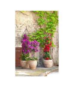 Dehner Premium Obelisk Odin 20 Dehner Premium Obelisk Odin -Gartenbedarf Angebote 2481976 2481596 2481927 WE MO 001 DehnerHalbobelisk