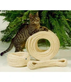 Silvio Design Sisaltauwerk Für Katzen