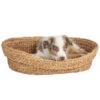Silvio Design Hundebett / Katzenbett Wasserhyazinthe 2 Silvio Design Hundebett / Katzenbett Wasserhyazinthe -Gartenbedarf Angebote 2575827 WE FS 001 SilvioDesignTierbettWasserhyagross