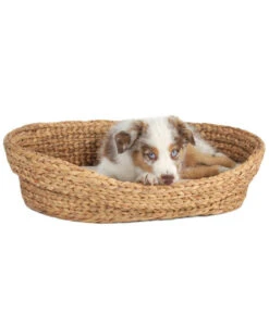 Silvio Design Hundebett / Katzenbett Wasserhyazinthe