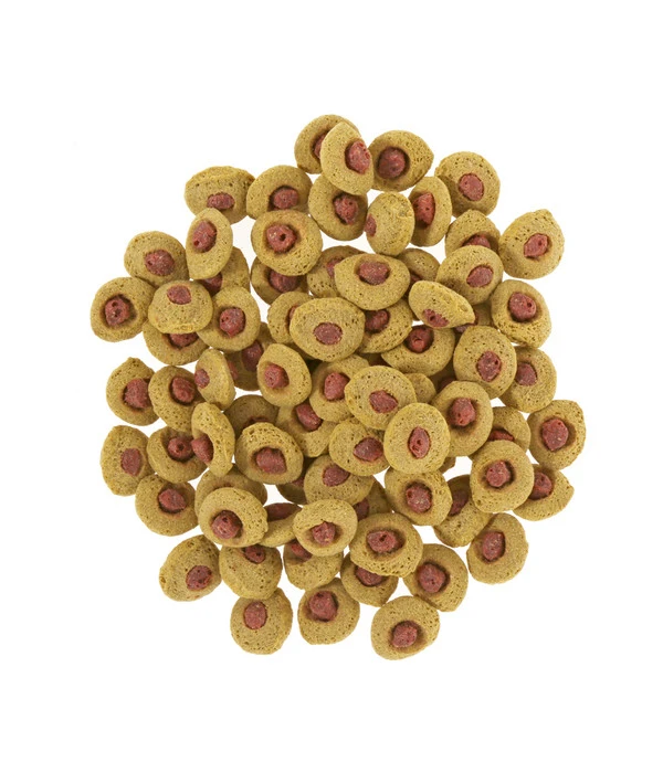 Sera Koi Professional, Sommerfutter 4 Sera Koi Professional, Sommerfutter – Bild 2