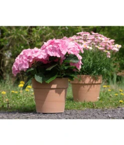 Spang Terrakotta-Pflanzgefäß Calima -Gartenbedarf Angebote 2919595 2919652 2919694 2919736 2919835 2919843 WE FS 001 TerrakottaTopfCalimaantik