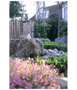 Oase Pumpe Aquarius Universal Classic 1500 -Gartenbedarf Angebote 2959476 WE MO 003 AquariusUniversalClassic