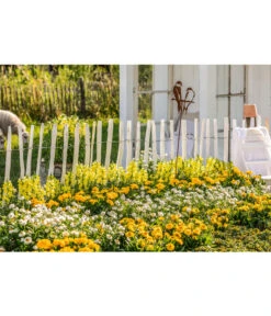 Naturzaun Haselnuss, Ca. 5 M -Gartenbedarf Angebote 3003936 WE MO 007 NaturzaunHaselnuss 5m