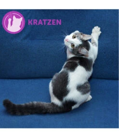 FELIWAY® Alltagshelfer Classic Start-Set -Gartenbedarf Angebote 3019957 WE M 002 neuCevaFeliwayClassicStarterSet