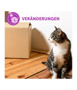 FELIWAY® Alltagshelfer Classic Start-Set -Gartenbedarf Angebote 3019957 WE M 003 neuCevaFeliwayClassicStarterSet