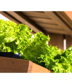 Hecht Hochbeet Cube 4, Ca. B82/H145/T50 Cm -Gartenbedarf Angebote 3060399 WE DE 003 HechtHochbeetCube4NEU