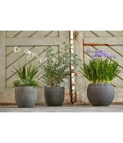 Dehner Polystone-Topf Kapstadt, Rund, Grau 9 Dehner Polystone-Topf Kapstadt, Rund, Grau -Gartenbedarf Angebote 3207990 3208022 WE MO 002 DehnerPolystoneTopfbauchiggrau