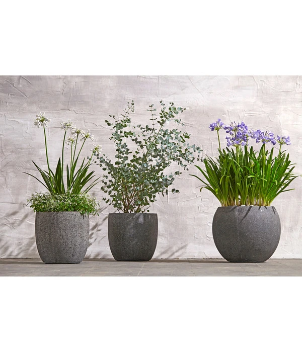 Dehner Polystone-Topf Kapstadt, Rund, Grau 3 Dehner Polystone-Topf Kapstadt, Rund, Grau – Bild 2