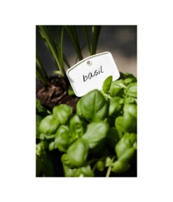 Elho Pflanz-Stift, 5 Stück -Gartenbedarf Angebote 3266806 MO FS 001 PflanzstiftMweissElhoEtikett