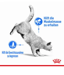 ROYAL CANIN® Nassfutter Für Katzen Light Weight Care In Soße, 12 X 85 G -Gartenbedarf Angebote 3548773 WE DE 001 RCKNBLightWeightCareGravy85g