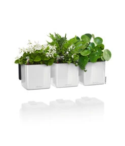 LECHUZA® CUBE Glossy Green Wall Home Kit, Ca. B48/H14/T15 Cm -Gartenbedarf Angebote 3767662 WE FS 003 CubeGlossyGreenWallHomeKitWeiss