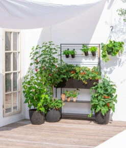 Kunststoff-Topf Padua, Rund -Gartenbedarf Angebote 3962933 WE MO 002 KunststoffTopfPaduarund