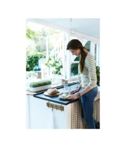 Elho Anzuchthaube L 7 Elho Anzuchthaube L -Gartenbedarf Angebote 4026704 WE MO 001 AnzuchthausLTransparentElho