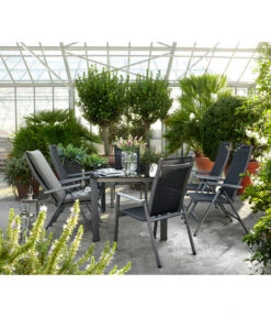 Dehner Stapelstuhl Macon 8 Dehner Stapelstuhl Macon -Gartenbedarf Angebote 4030763 WE MO 002 KlappstuhlMacon