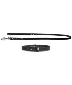 Das Lederband Halsband/Leinen-Set Basic Weinheim Schwarz