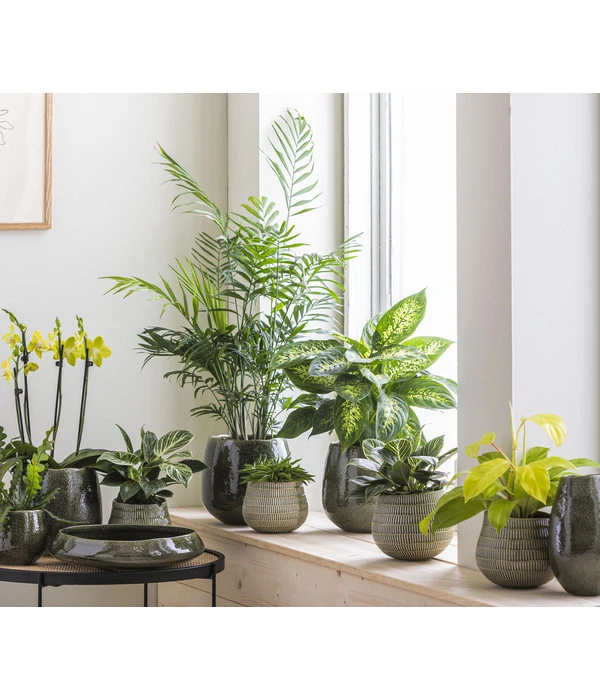 Dehner Keramik-Übertopf Linn, Bauchig, Dunkelgrün 4 Dehner Keramik-Übertopf Linn, Bauchig, Dunkelgrün – Bild 2