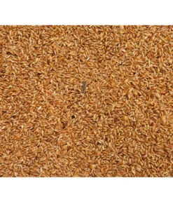 Dehner Kanariensaat, 1 Kg 7 Dehner Kanariensaat, 1 Kg -Gartenbedarf Angebote 413609 BildD 001 DehnerQualitaetsfutterKanariensaatKanariensaat1Kg