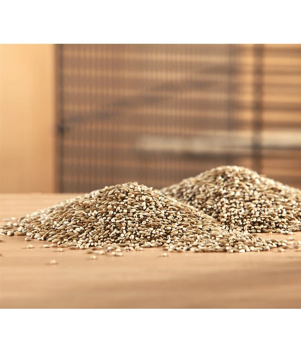 Dehner Kanariensaat, 1 Kg 4 Dehner Kanariensaat, 1 Kg – Bild 2