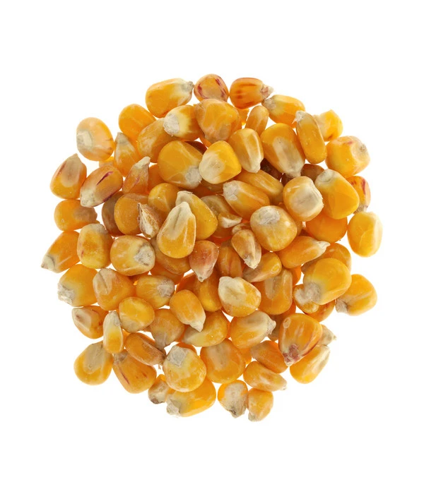 Dehner Körnermais, 2,5 Kg 4 Dehner Körnermais, 2,5 Kg – Bild 2