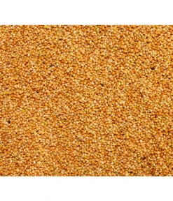 Dehner Gelbe Hirse, 1 Kg 7 Dehner Gelbe Hirse, 1 Kg -Gartenbedarf Angebote 414151 BildD 001 DehnerQualitaetsfutterLaPlataHirseLaPlataHirse1Kg