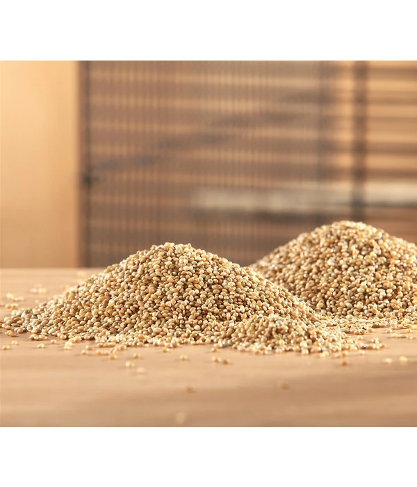 Dehner Gelbe Hirse, 1 Kg 4 Dehner Gelbe Hirse, 1 Kg – Bild 2