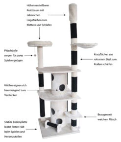 Dehner Kratzbaum Rufus -Gartenbedarf Angebote 4150496 WE IG 001 DehnerMarkenqualitaetDeckenkratzbaumRufus80x80x240 260cm