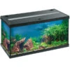 Eheim Aquarium Aquastar 54 LED 1 Eheim Aquarium Aquastar 54 LED -Gartenbedarf Angebote 4171591 WE FS 001 EheimAquastar54Schwarz