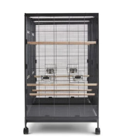 SAVIC Nager- Und Vogelheim Tasmania 120, Ca. B120/H107/T65 Cm -Gartenbedarf Angebote 4190559 WE FS 005 SavicTasmania120