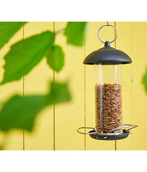 Dehner Natura Wildvogelsnack Getrocknete Mehlwürmer 4 Dehner Natura Wildvogelsnack Getrocknete Mehlwürmer – Bild 2