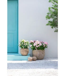 Dehner Terrakotta-Topf Imperia, Rund, Antik-terrakotta 11 Dehner Terrakotta-Topf Imperia, Rund, Antik-terrakotta -Gartenbedarf Angebote 4272639 4272670 WE MO 003 DehnerTerrakottaTopf