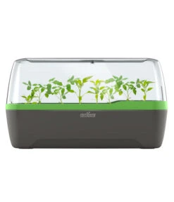 Romberg BoQube Gewächshaus -Gartenbedarf Angebote 4299970 WE FS 005 RombergGewaechshausZimmergewaechshausAnzucht