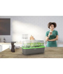 Romberg BoQube Gewächshaus -Gartenbedarf Angebote 4299970 WE MO 001 RombergGewaechshausZimmergewaechshausAnzucht