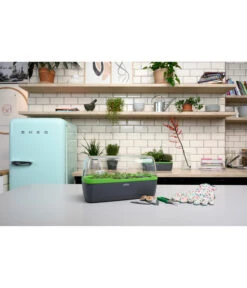 Romberg BoQube Gewächshaus -Gartenbedarf Angebote 4299970 WE MO 002 BoQubeGewaechshausZimmergewaechshaus