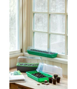 Romberg Zimmergewächshaus -Gartenbedarf Angebote 4299970 WE MO 004 BoQubeZimmergewaechshaus