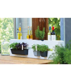 Geli Kunststoff-Pflanzkasten Easy -Gartenbedarf Angebote 4314415 4314472 4314530 WE MO 003 GeliKunststoffTopfEasyBlumentopfPflanztopfPalettentopf