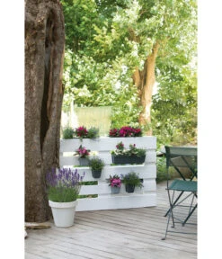 Geli Kunststoff-Pflanzkasten Easy -Gartenbedarf Angebote 4314415 4314472 4314530 WE MO 005 GeliKunststoffTopfEasyBlumentopfPflanztopfPalettentopf