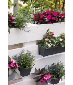 Geli Kunststoff-Pflanzkasten Easy -Gartenbedarf Angebote 4314415 4314472 4314530 WE MO 007 GeliKunststoffTopfEasyBlumentopfPflanztopfPalettentopf