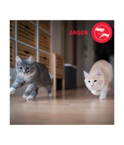 FELIWAY® Alltagshelfer Friends Nachfüllflakon -Gartenbedarf Angebote 4477311 4477329 WE D 004 CevaFeliwayFriends