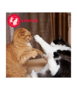 FELIWAY® Alltagshelfer Friends Nachfüllflakon -Gartenbedarf Angebote 4477311 4477329 WE D 005 CevaFeliwayFriends