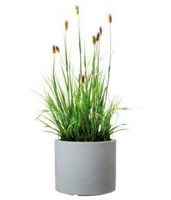 Scheurich Kunststoff-Topf Riva, Rund -Gartenbedarf Angebote 4498838 WE FS 003 ScheurichKunststoffTopfRivarund